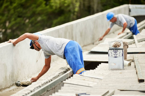 Best Local Insulation Services  in River Ridge, FL