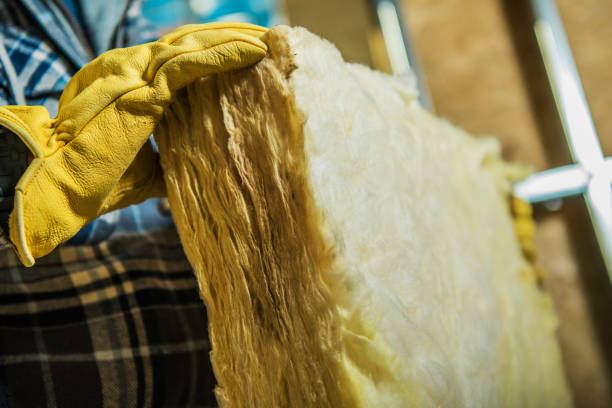 Best Best Insulation Companies  in River Ridge, FL