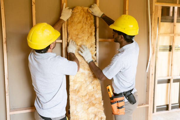 Best Local Insulation Services  in River Ridge, FL