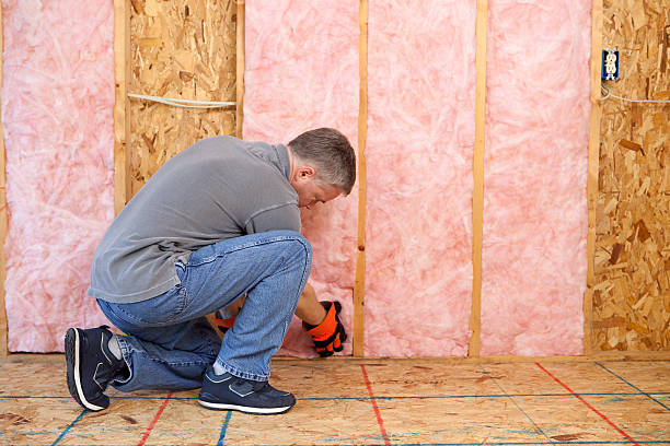 Best Attic Insulation Installation  in River Ridge, FL